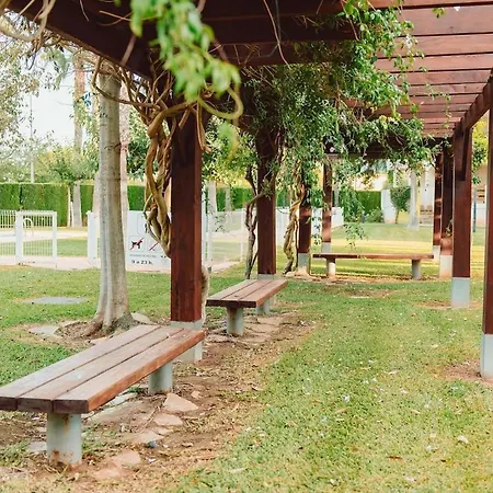 Mediterrane In Denia