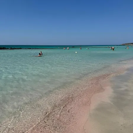 Mediterrane In * 德尼亚